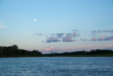 Amazon River, Loreto