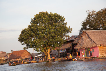 House on the Shores of Amazon River, Loreto